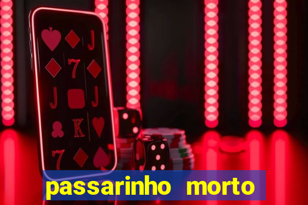 passarinho morto significado espiritual